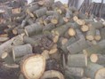 /album/fotogalerie-palivove-drevo/s73r0025-jpg1/